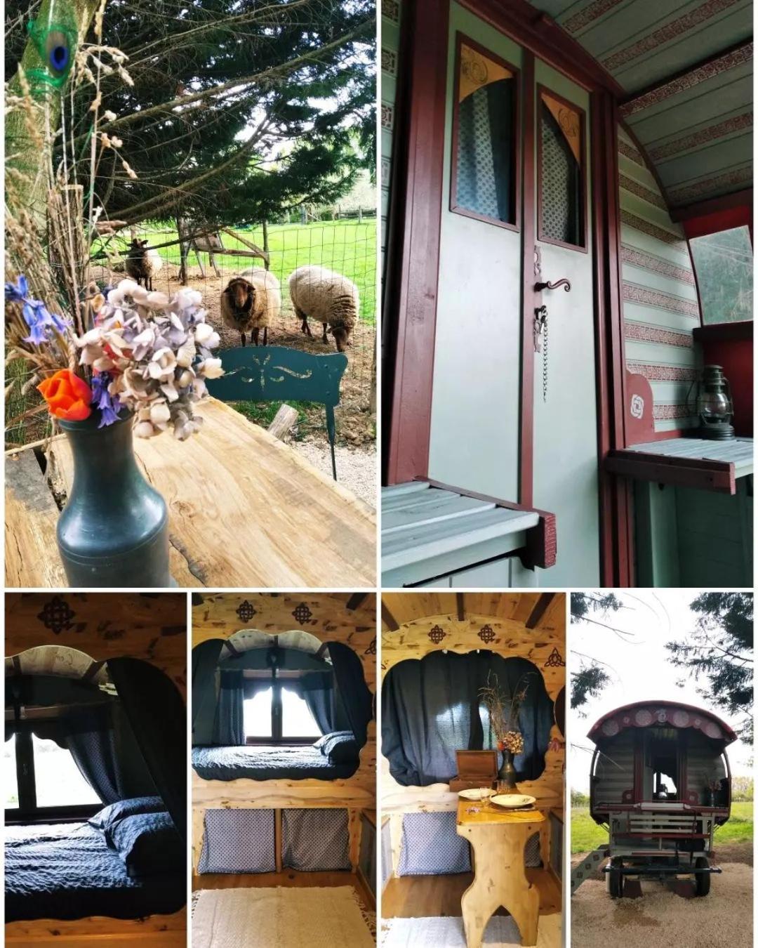 Roulotte Irlandaise Polly Hotel Saint-Vincent-en-Bresse Eksteriør billede